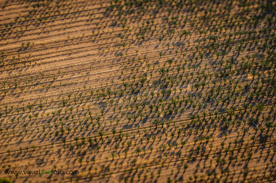 Visualprofoto-aereo 3