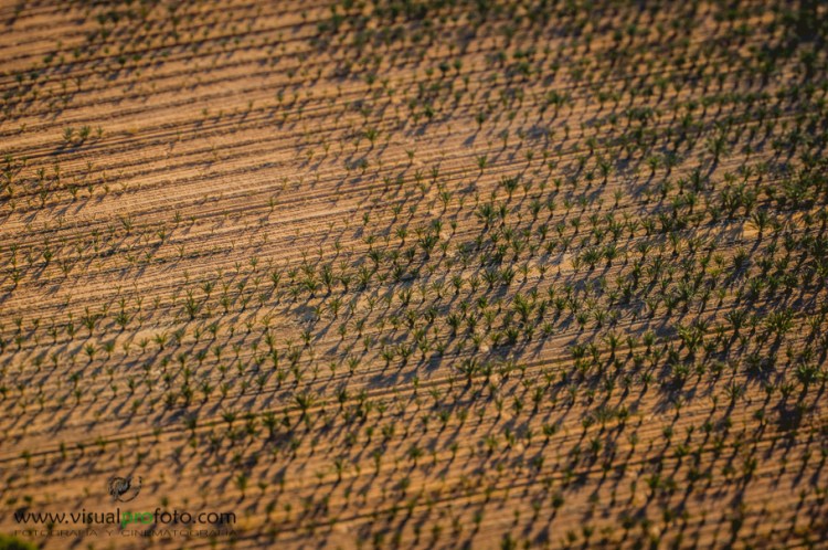 Visualprofoto-aereo 3