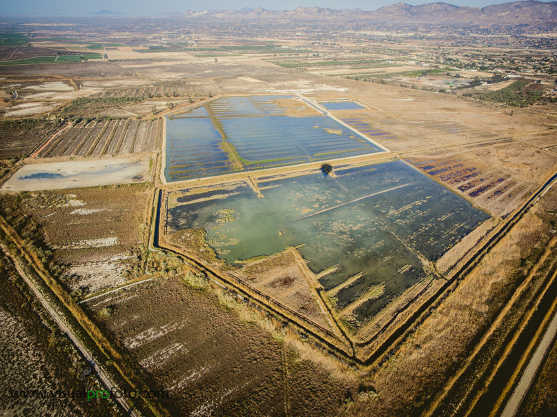 visualprofoto_aereo-5